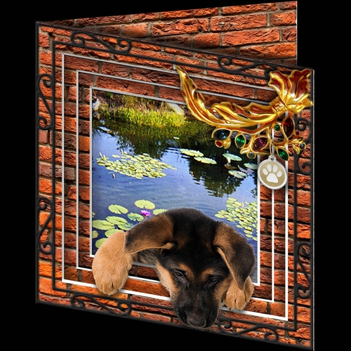 Stepping Out - More Dogs 8
