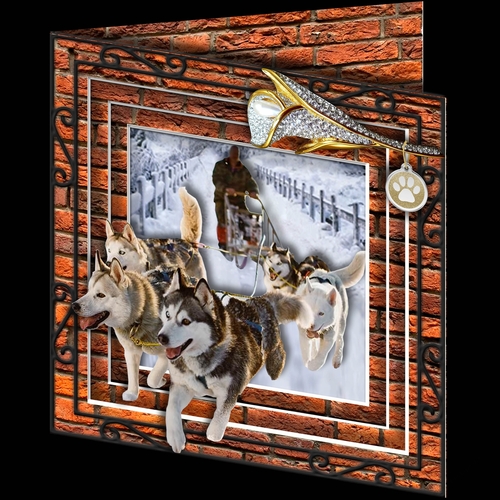 Stepping Out - More Dogs 10