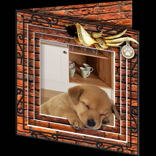 Stepping Out - More Dogs 11