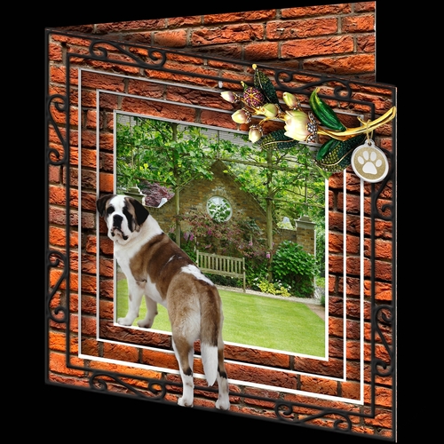 Stepping Out - More Dogs 15