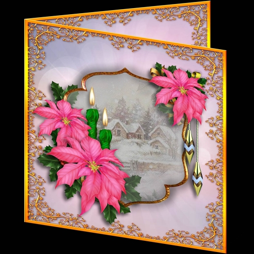 Inspirational Flowers Christmas 2