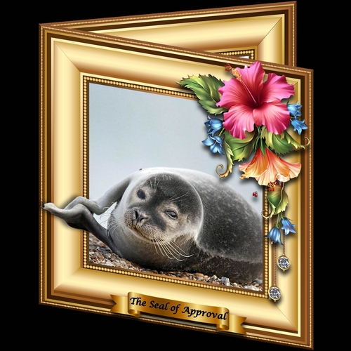 Stepping Out - The seal of approval