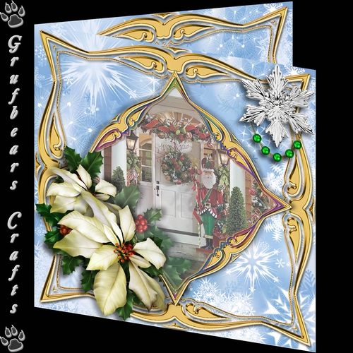 Pictures in the snow - Porch