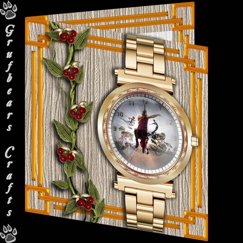 Past Times - Multisport
