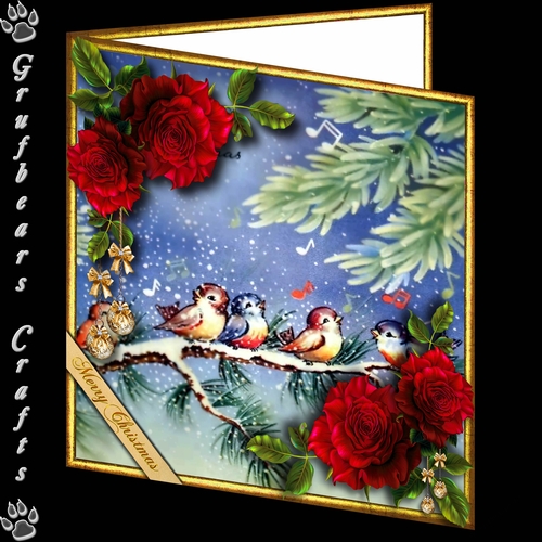 Christmas Roses - Robins red