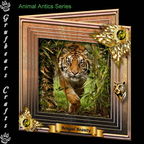 Animal Antics - Bengal Beauty