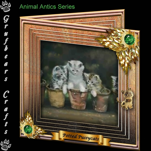 Animal Antics - Potted Pussycats