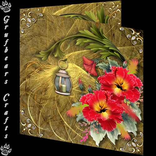 Flowers of Light - Hibiscus 1