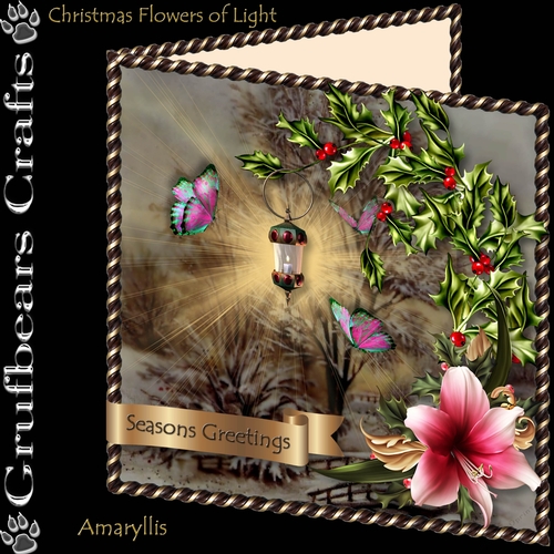 Christmas Flowers of Light - Amaryllis