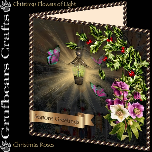Christmas Flowers of Light - Christmas Roses