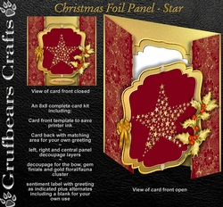 Christmas Foil Panel - Star