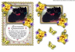 Quick Card Birthday - Black Cats