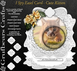 I Spy - Cute Kitten