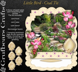 Little Bird - Coal Tit