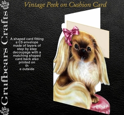 Vintage Peek on Cushion Card