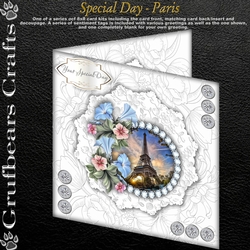 Special Day - Paris