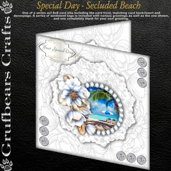Special Day - Secluded Beach