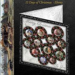 12 Days of Christmas - Ebony