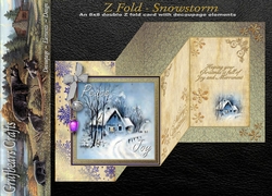 Z fold - Snowstorm