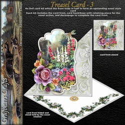 Treasel Card 3