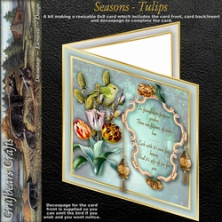 Seasons - Tulips