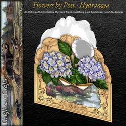 Flowers by Post - Hydrangea