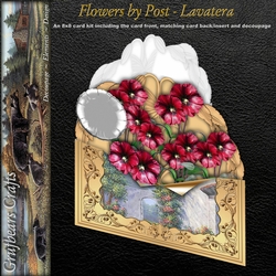 Flowers by Post - Lavatera