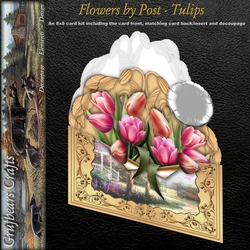 Flowers by Post - Tulips