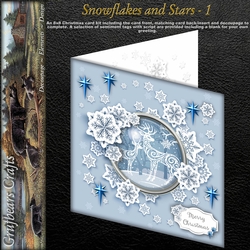 Snowflakes and Stars - 1