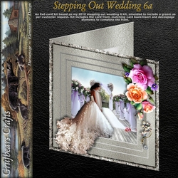 Stepping Out Wedding 6a