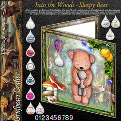 Into the Woods - Sleepy Bear