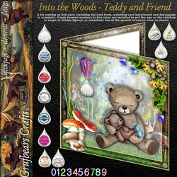 Into the Woods - Teddy and Friend
