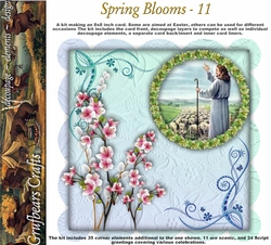 Spring Blooms - 11