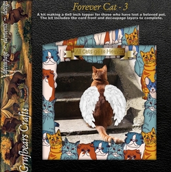 Forever Cat 3