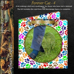 Forever Cat 4