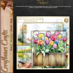 Tulips 5