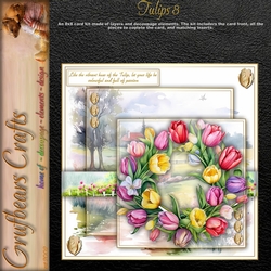 Tulips 8