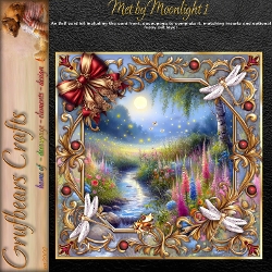 Met by Moonlight 1