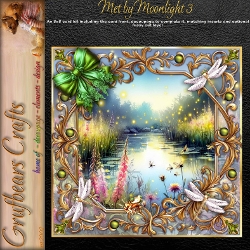 Met by Moonlight 3