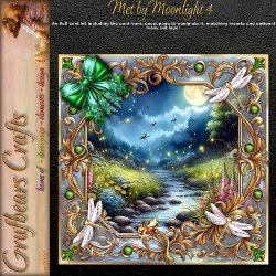 Met by Moonlight 4