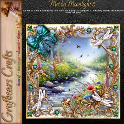 Met by Moonlight 5