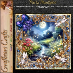 Met by Moonlight 6
