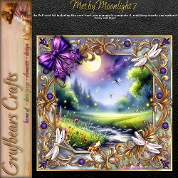 Met by Moonlight 7