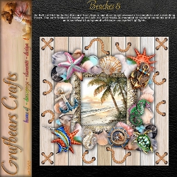 Beaches 8