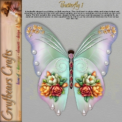 Butterfly 1