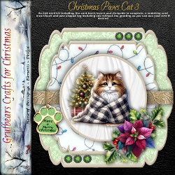 Christmas Paws Cat 3