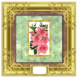 Lovely Flower Collection - Azalea