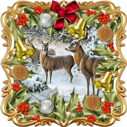 Through the Holly Bush 8
