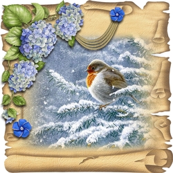 Christmas Birds 5