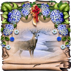 Doe - a - Deer 12